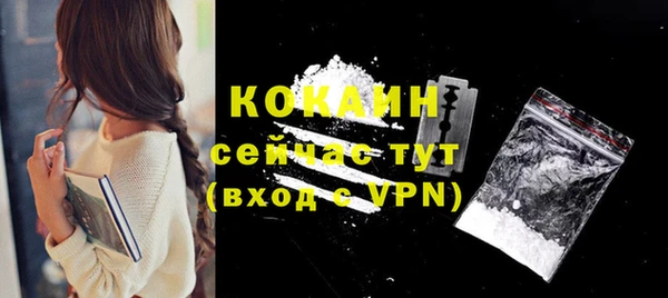спайс Гусев
