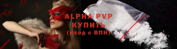 спайс Гусев