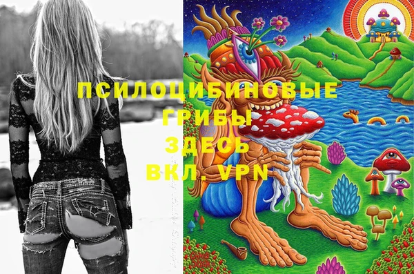 мефедрон Гусиноозёрск