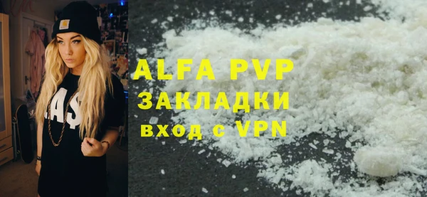спайс Гусев