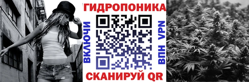 где продают наркотики  Томмот  Шишки марихуана ГИДРОПОН 